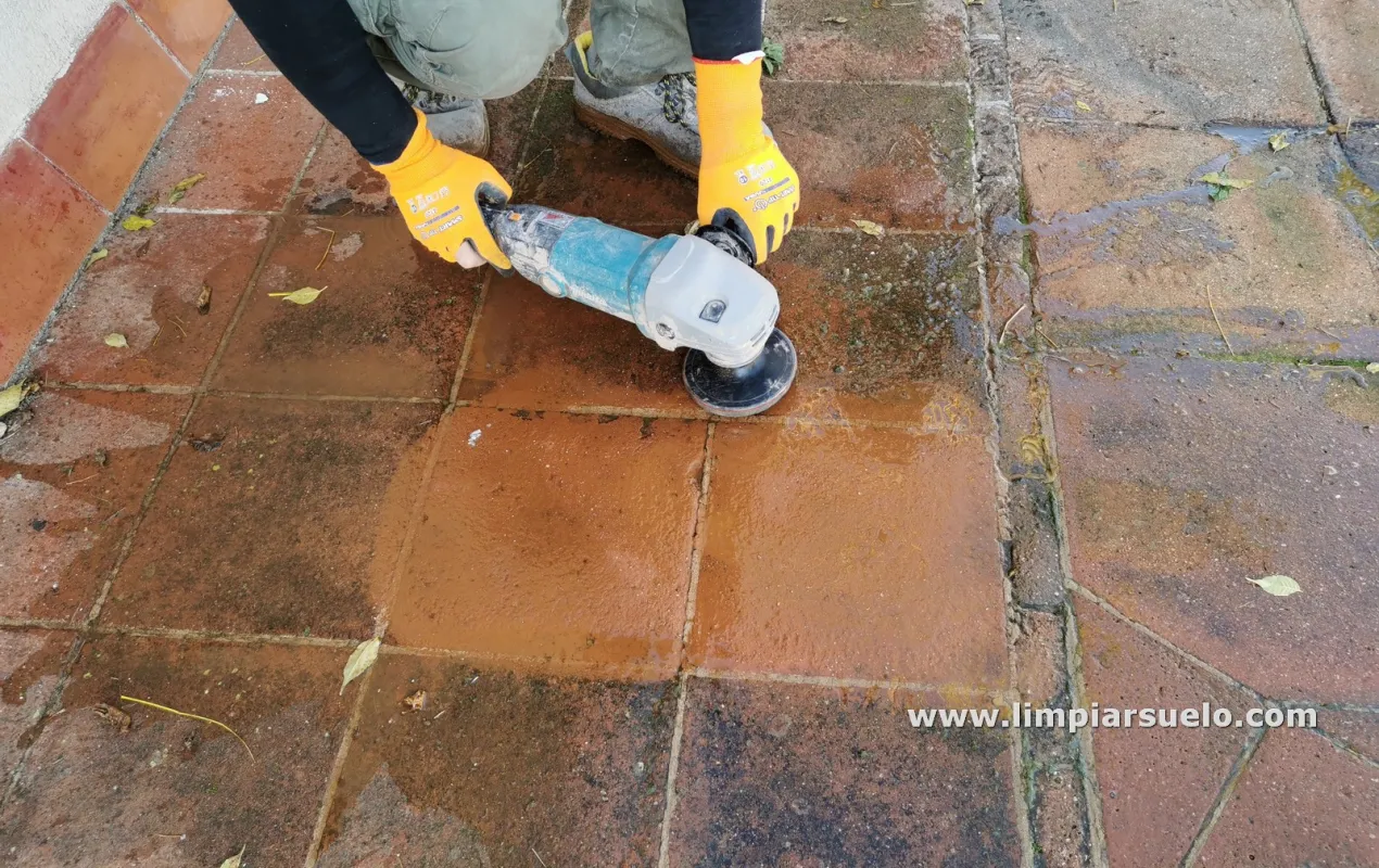 Terraza exterior con moho en Barcelona | Limpiar Suelo Barcelona 