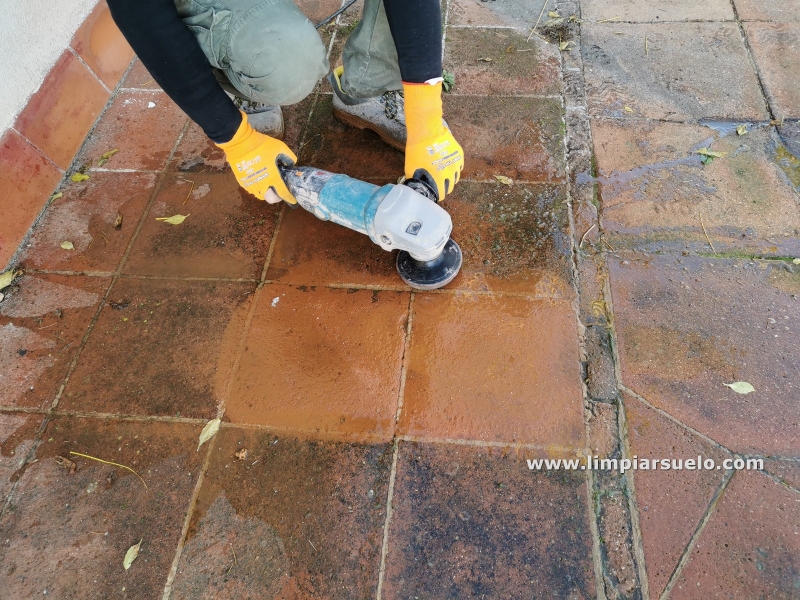 Terraza exterior con moho en Barcelona | Limpiar Suelo Barcelona 